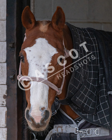 RCBPC-0106-C1-001-084