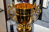 The Arena Gold Cup