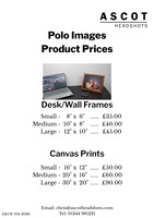 Polo Image Products Prices