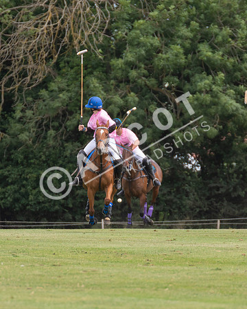 WPPC-0531-M3-013