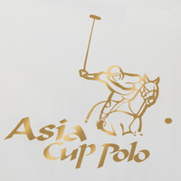 The Asia Cup