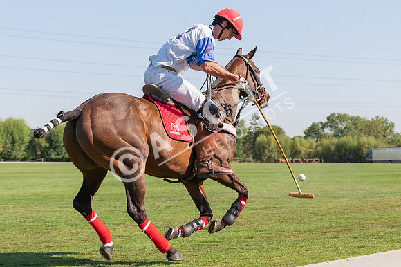 WPPC-08-13-RR-100-HighRes