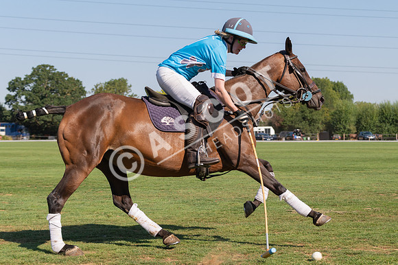 WPPC-08-13-RR-136-HighRes