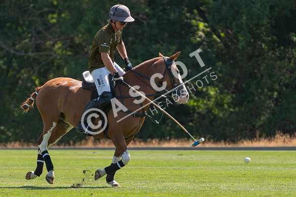WPPC-08-13-P2-099