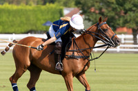 0812 Equibiome vs Alegria