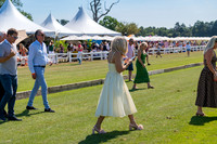 Polo Festival 2025